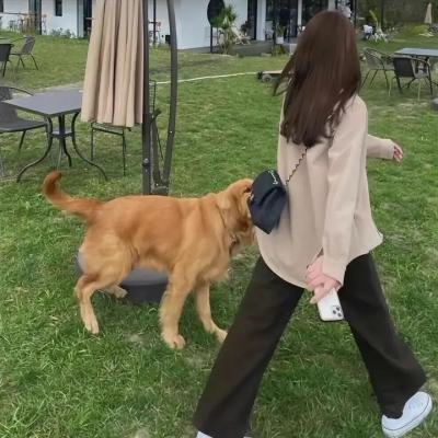 亲爱的客栈第二季